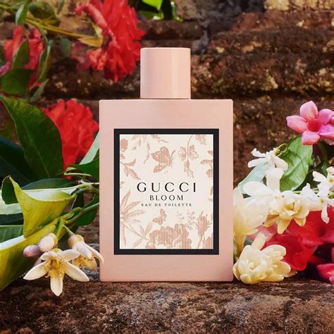 profumo gucci da uomo|gucci bloom fragrantica.